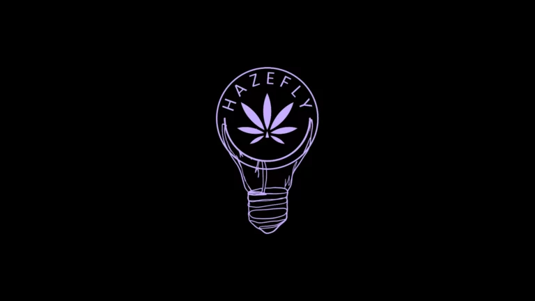 Titelbild Cannabis Hazefly Interview Lampe Ideen