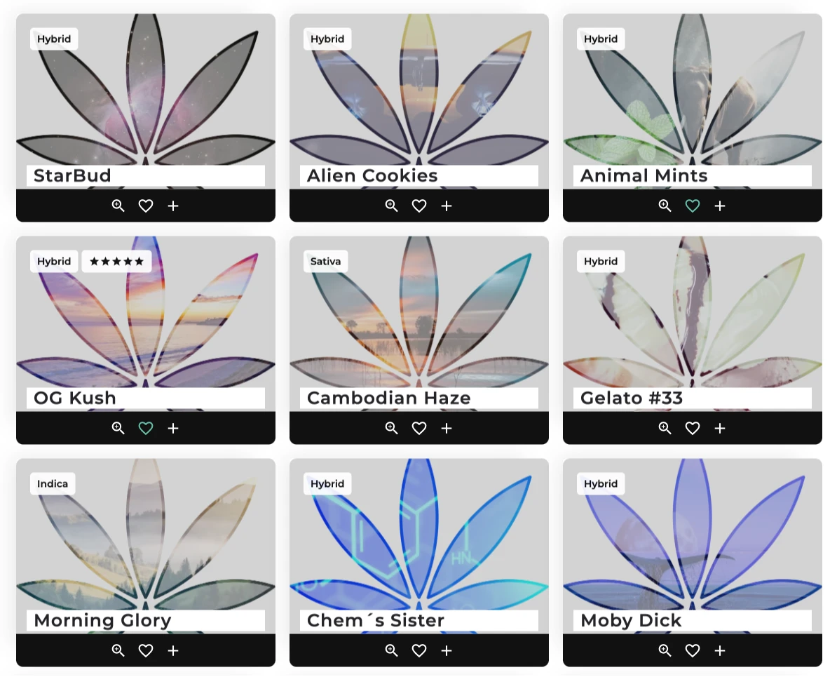 Cannabis Sortendatenbank Beispiel
