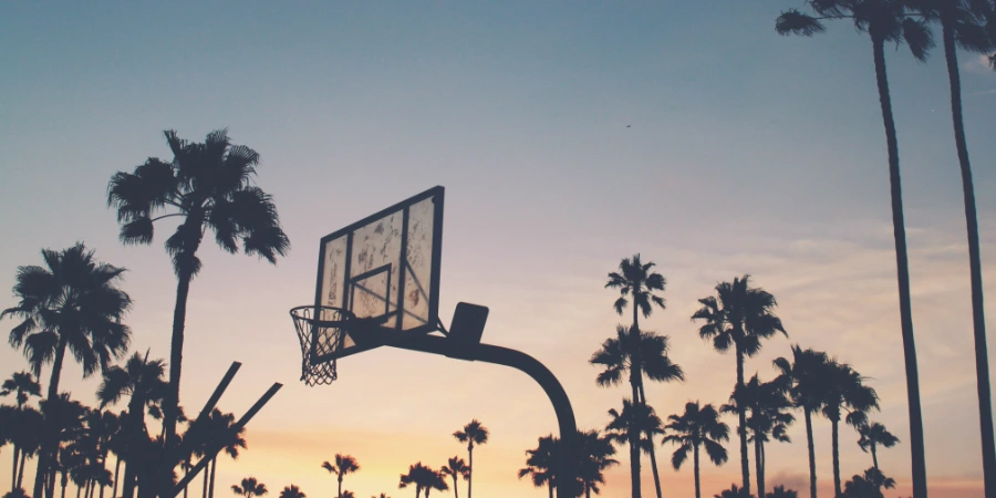 Abbilung von Palmen Basketball Platz OG Kush Kalifornien Foto