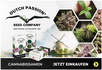 Cannabis samen kaufen