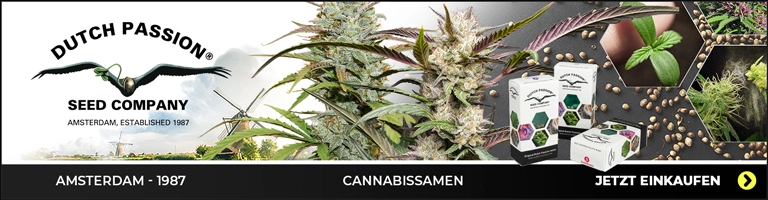 Cannabis samen kaufen
